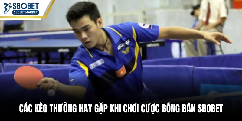 Các kèo thường hay gặp khi chơi cược bóng bàn SBOBET