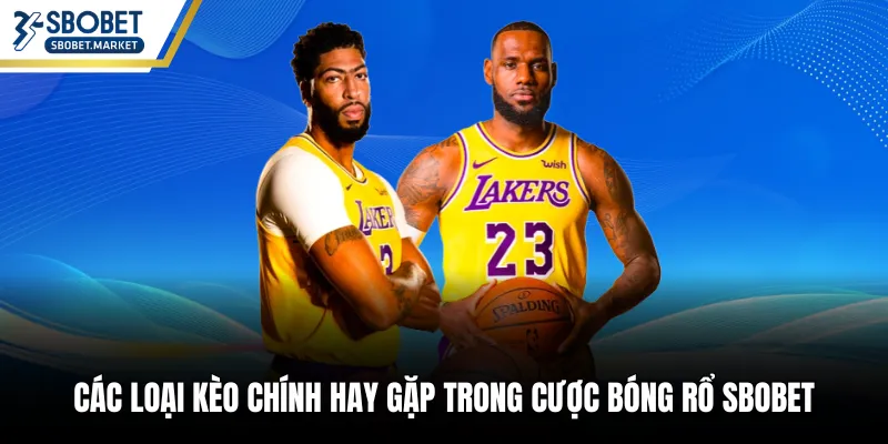 Các loại kèo chính hay gặp trong cược bóng rổ SBOBET