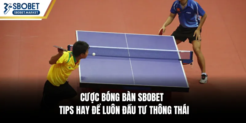 Cược Bóng Bàn SBOBET - Tips Hay Để Luôn Đầu Tư Thông Thái