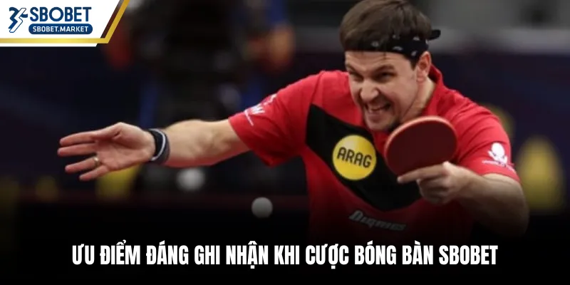 Ưu điểm đáng ghi nhận khi cược bóng bàn SBOBET