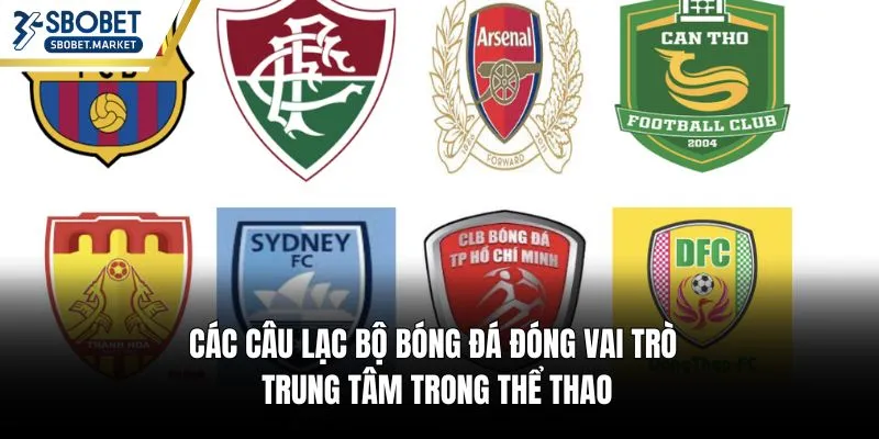 Các câu lạc bộ bóng đá đóng vai trò trung tâm trong thể thao