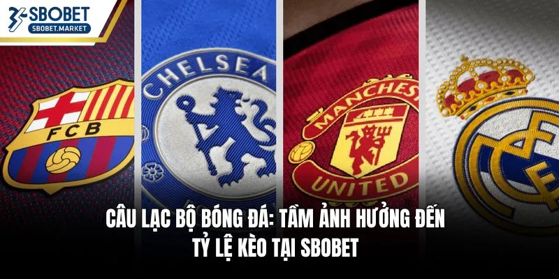 câu lạc bộ bóng đá