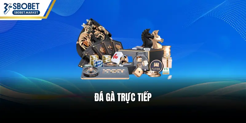 Đá gà trực tiếp